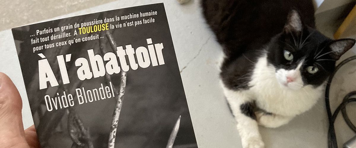 a l'abattoir le roman noir de Olivier Delobel