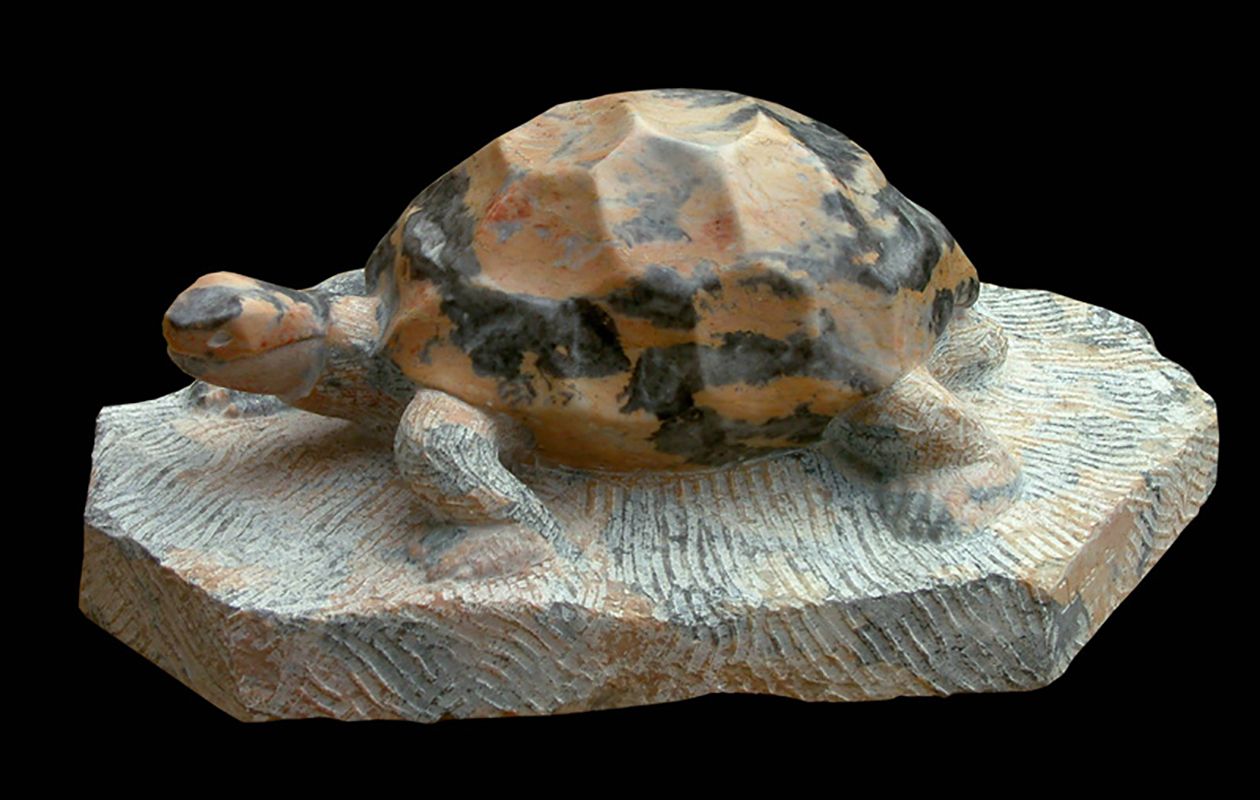 scultpure tortue en marbre par Olivier delobel