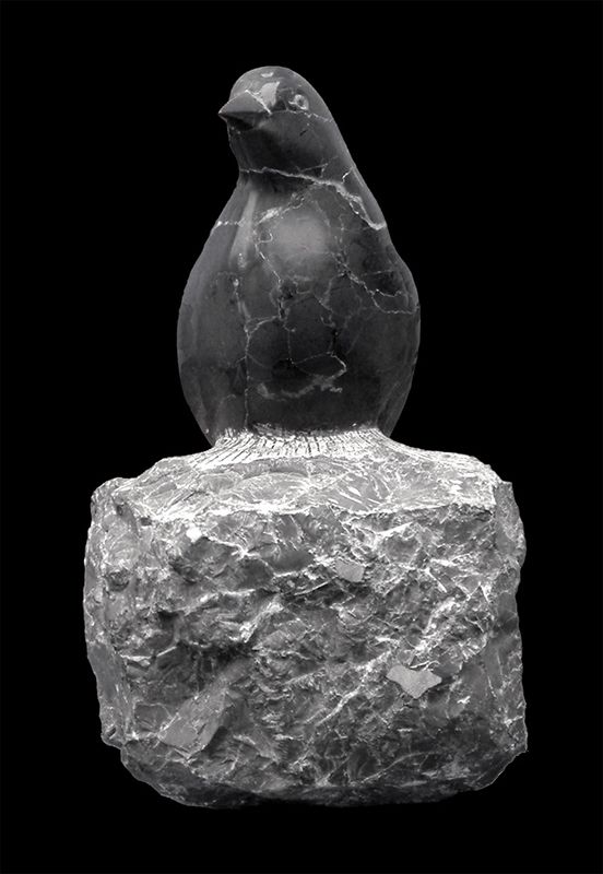 oiseau NOIR en marbre noir LAURENS par Olivier delobel